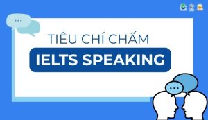 tiêu chí chấm IELTS Speaking